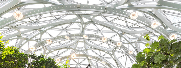 Photo Credit: @RLTheis via Twenty20