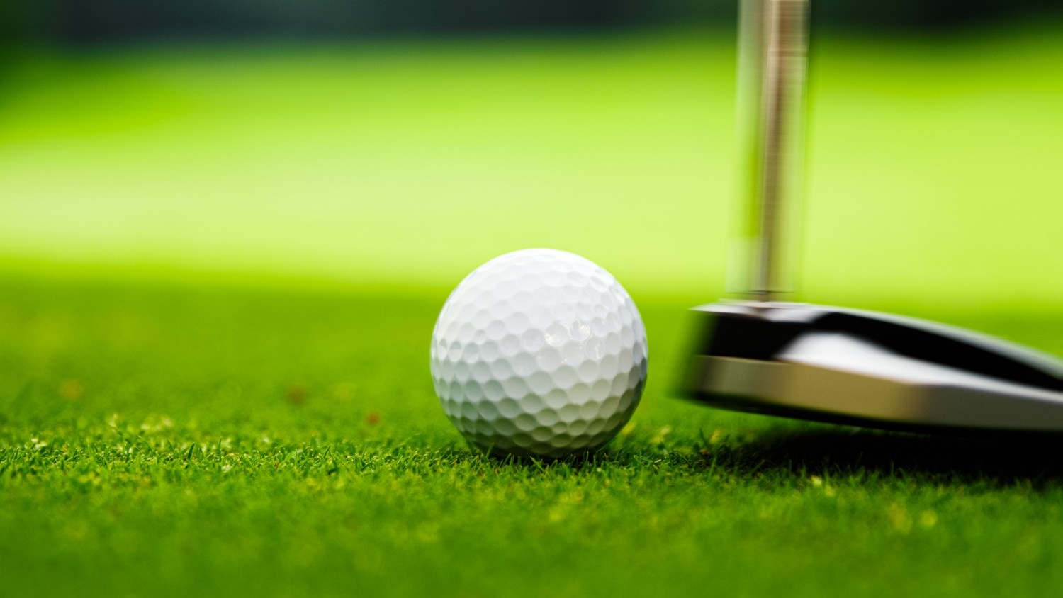 Golf One and Done Picks: Season-Long Strategy & Advice