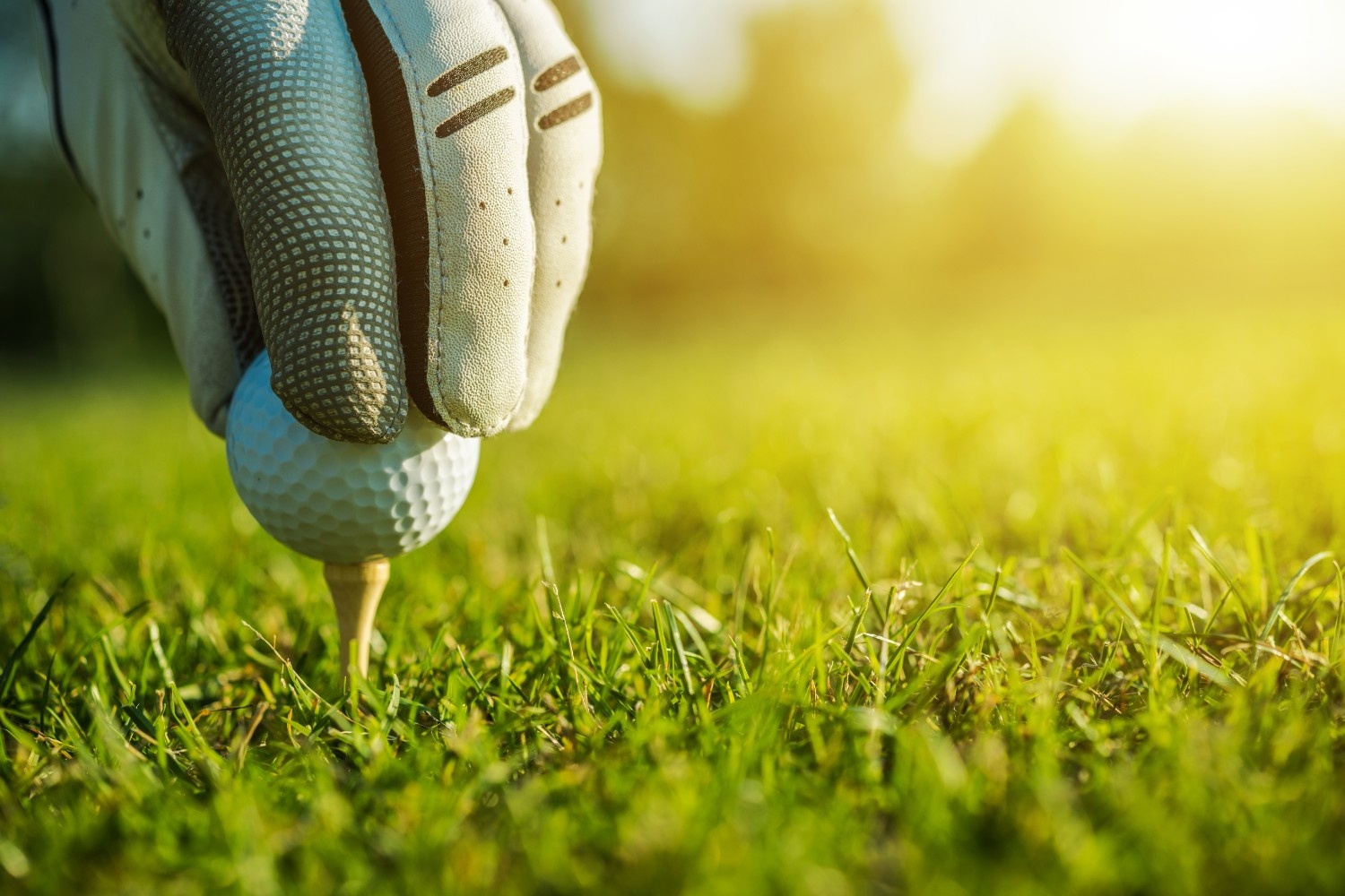 Course Management at Augusta: What Separates Masters Winners from the Field