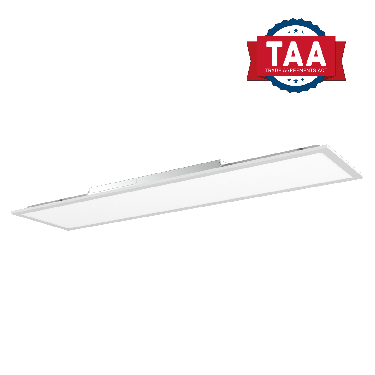 Eiko BP2 Backlit Flat Panel TAA