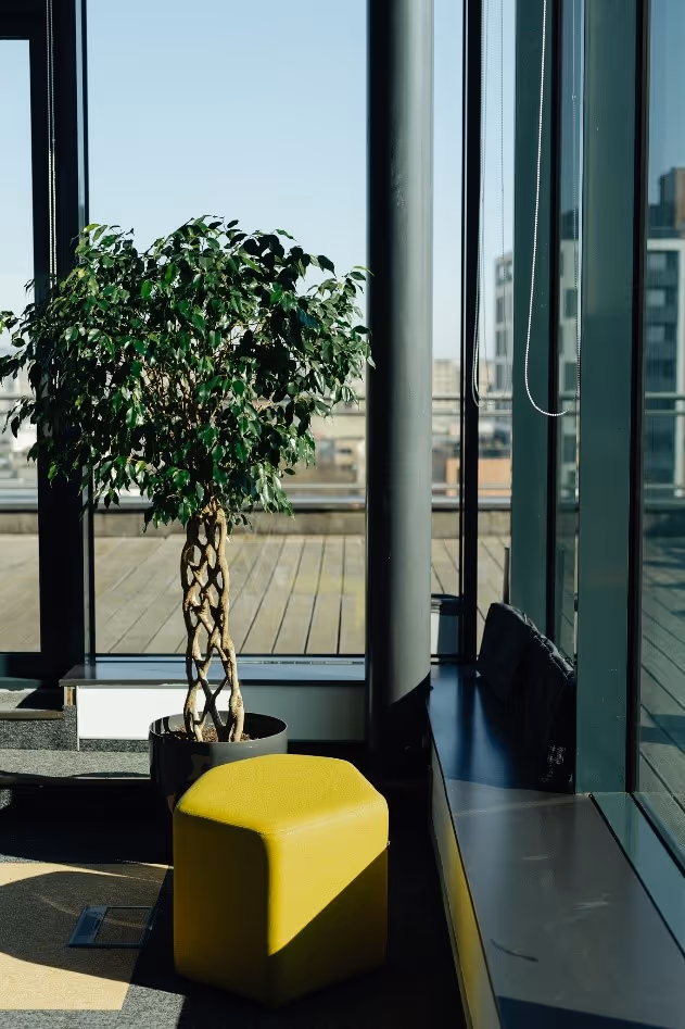 A green plant in a pot next to a yellow stoolDescription automatically generated