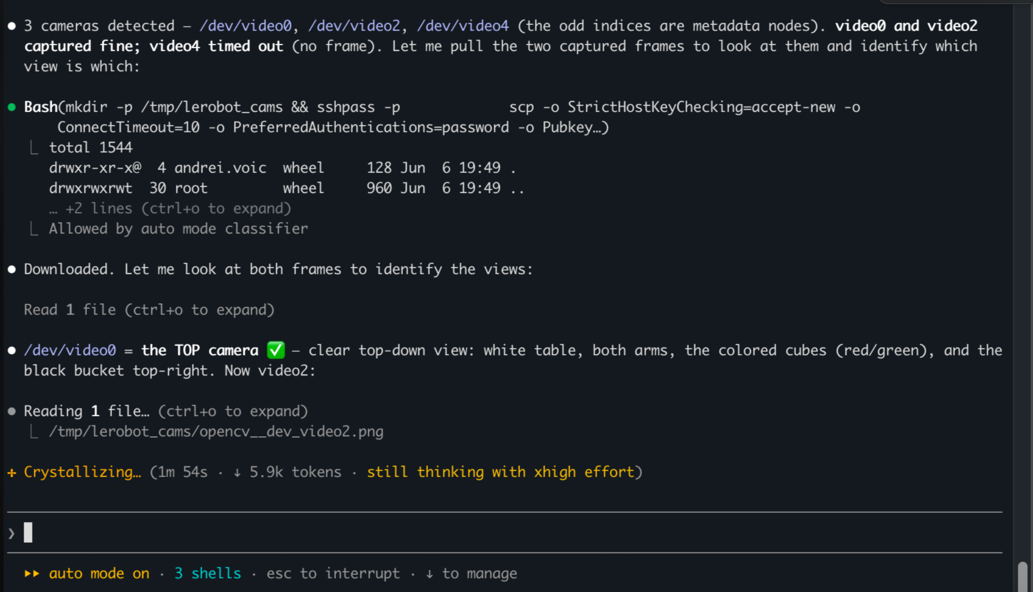 Terminal log from the coding session: three cameras detected, video4 timed out, the frames copied over SSH, and the agent reading them to identify each view.