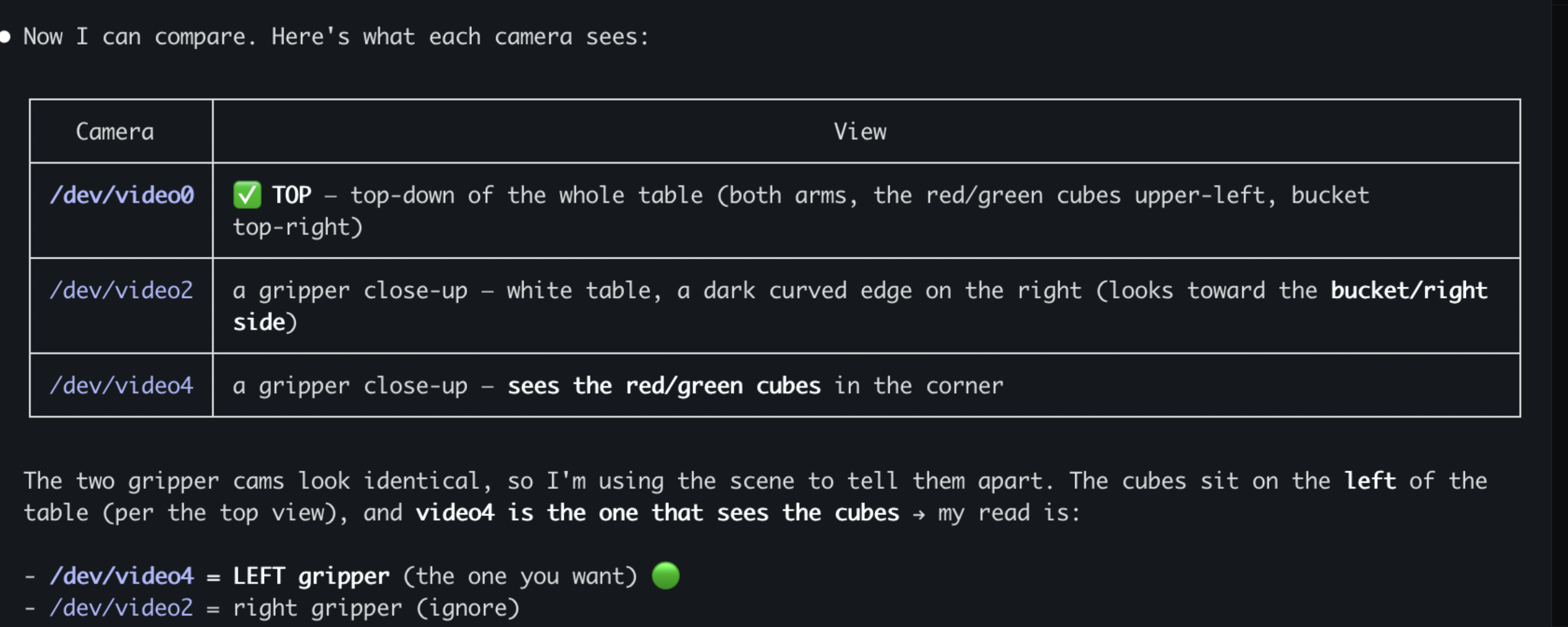 Terminal log: a table of what each camera sees, concluding that video4 is the left gripper because it is the one that can see the cubes, and video2 is the right gripper to ignore.
