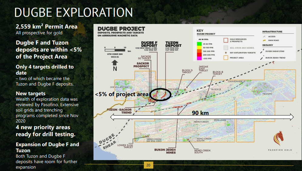 Pasofino Gold (VEIN) - Technical Analysis & Due Diligence