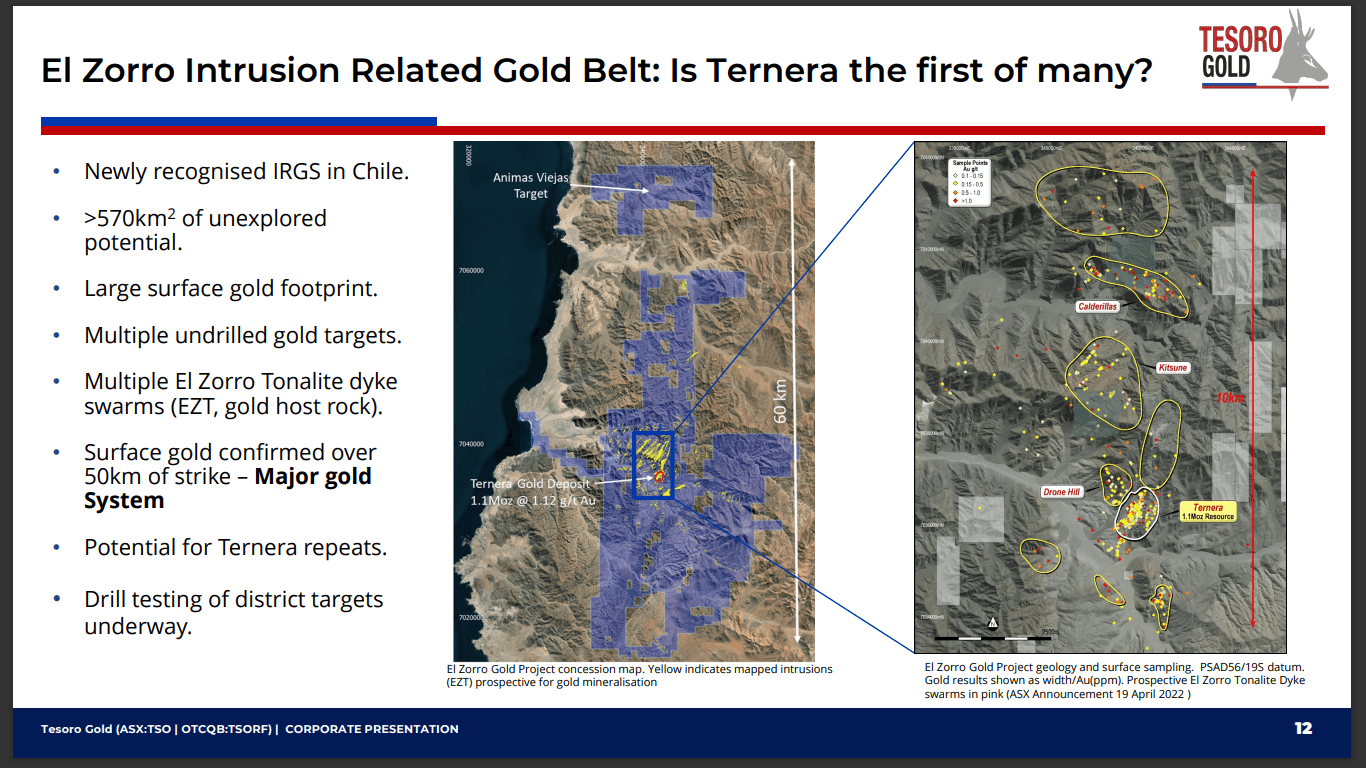 Tesoro Gold (TSO) - Goldfield Invests + Resource Update