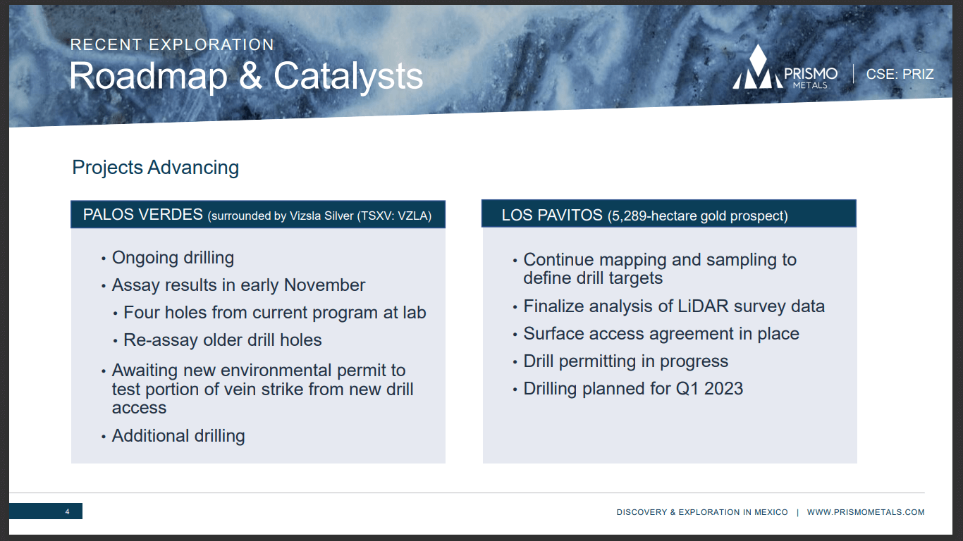 Prismo Metals (PRIZ) - NEW Silver & Gold Exploration in Mexico