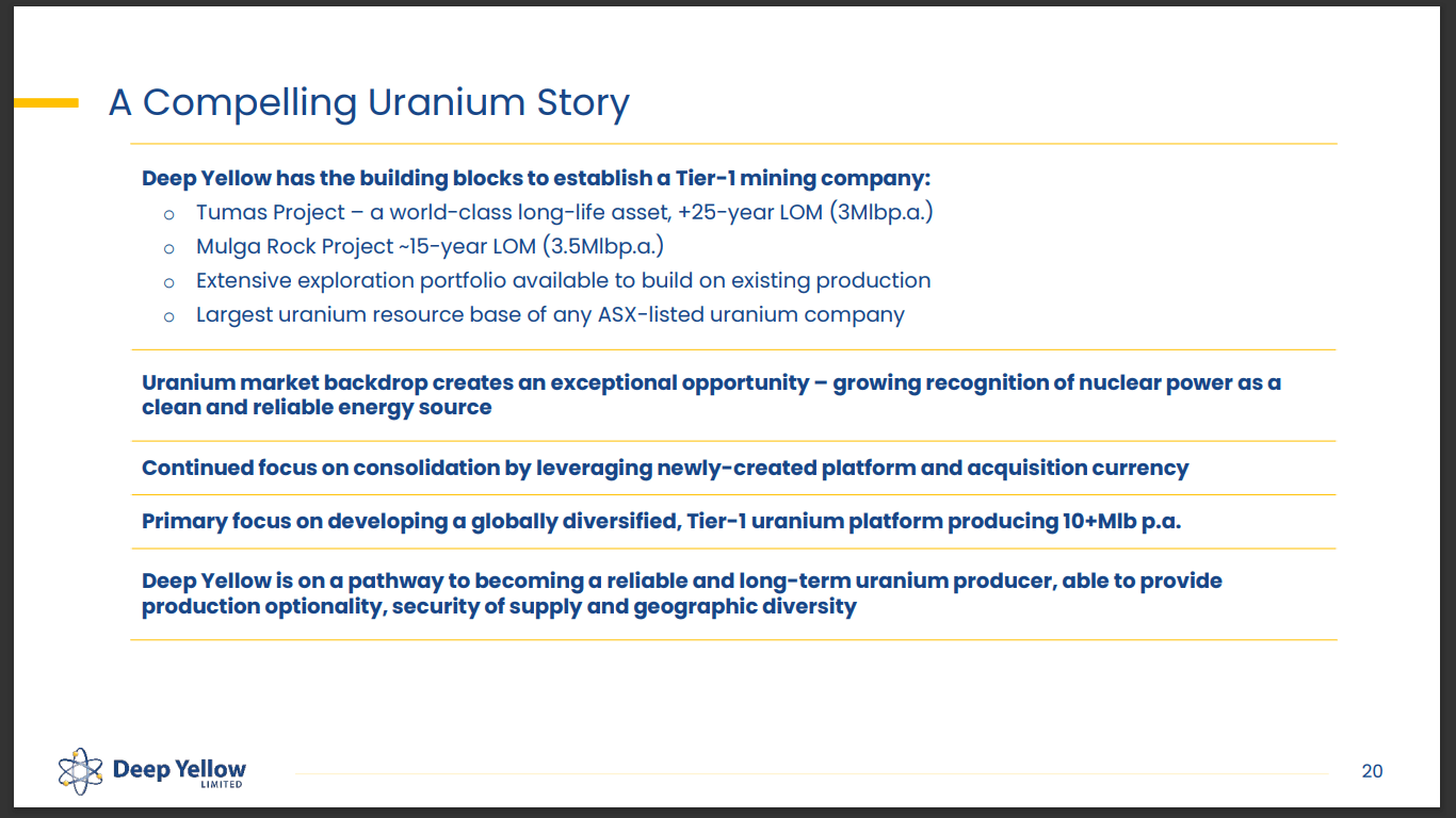 Deep Yellow (ASX: DYL) - World Nuclear Association (WNA) Fireside Chat