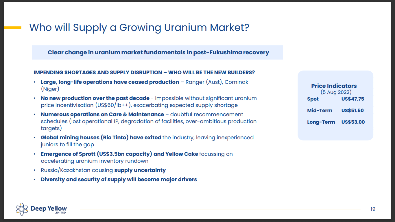 Deep Yellow (ASX: DYL) - World Nuclear Association (WNA) Fireside Chat