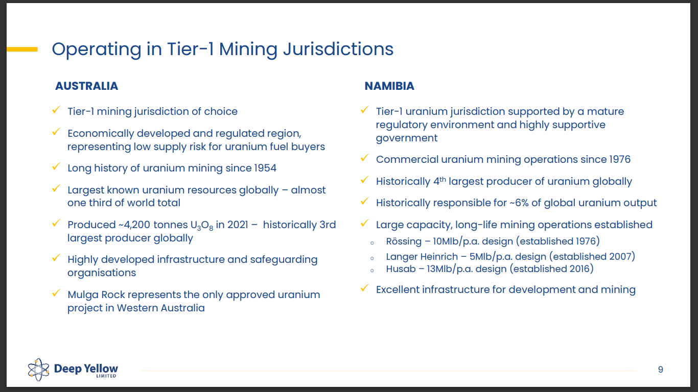 Deep Yellow (ASX: DYL) - World Nuclear Association (WNA) Fireside Chat