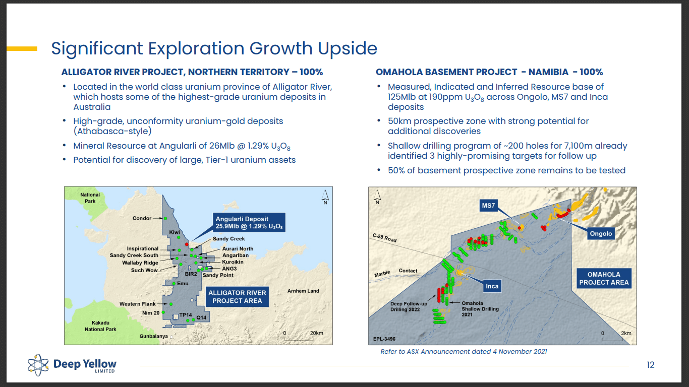 Deep Yellow (ASX: DYL) - World Nuclear Association (WNA) Fireside Chat