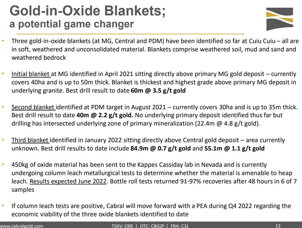 Cabral Gold (CBR) - Higher Grades Will Improve New Resource by Year End