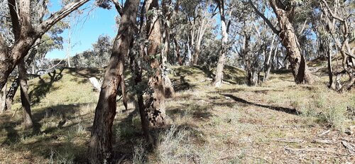 Nubian Resources (NBR) - Multiple high-grade Gold Projects Catch the Eye