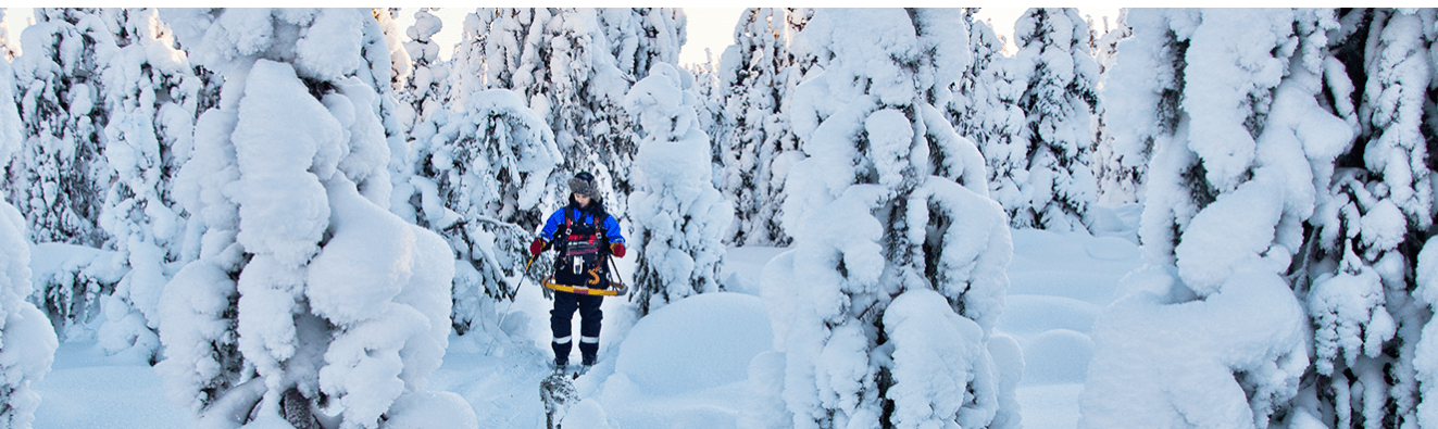 Mawson Gold (MAW) - Building Gold Resources Globally for Mine Builders