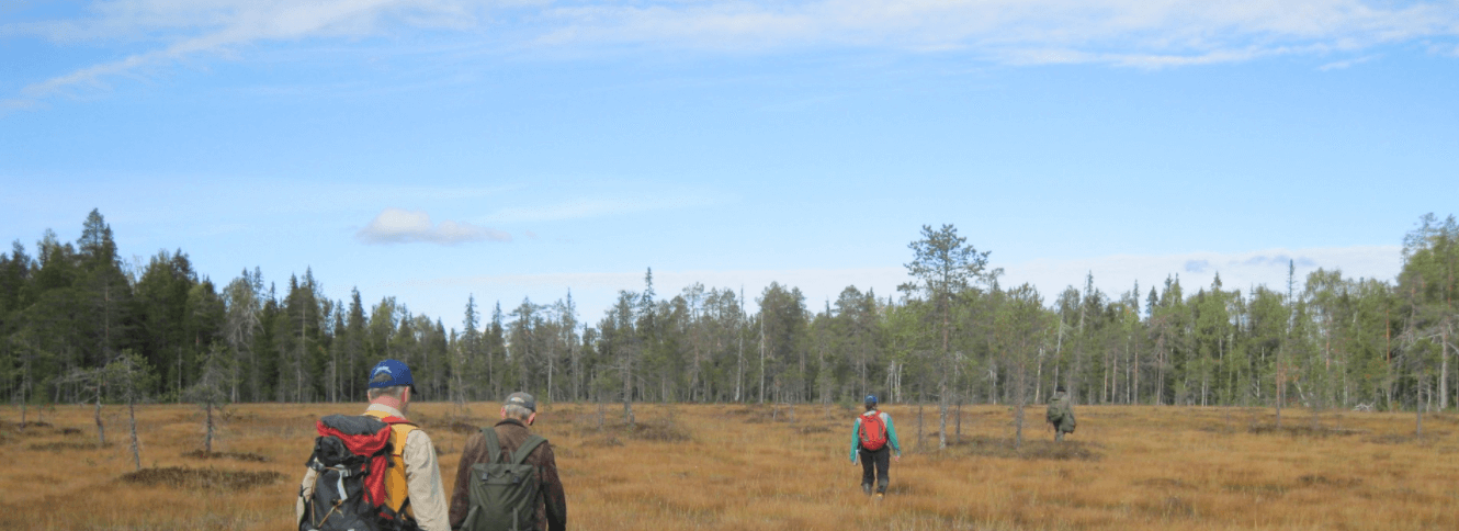 Mawson Gold (MAW) - Building Gold Resources Globally for Mine Builders