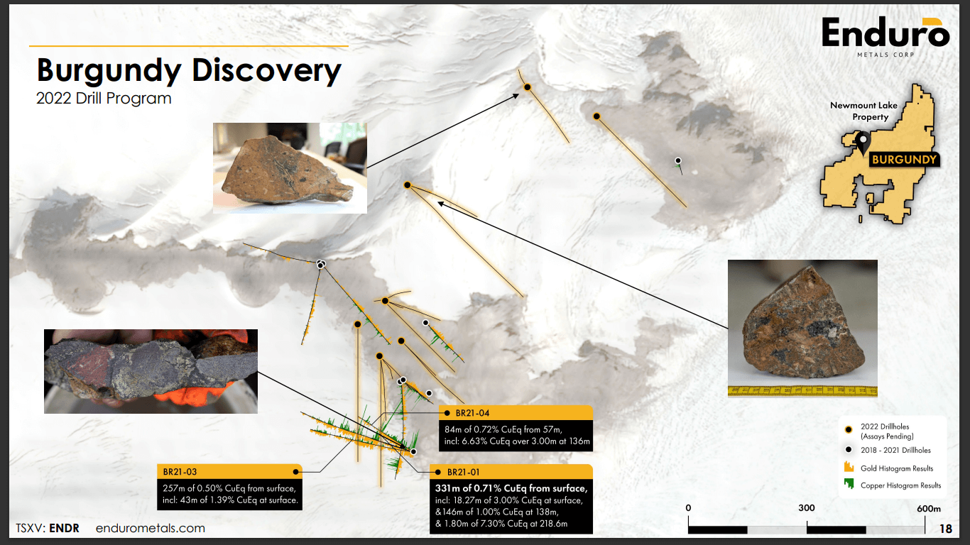 Enduro Metals (ENDR) - Hunting Super High-Grade Copper Gold Porphyries