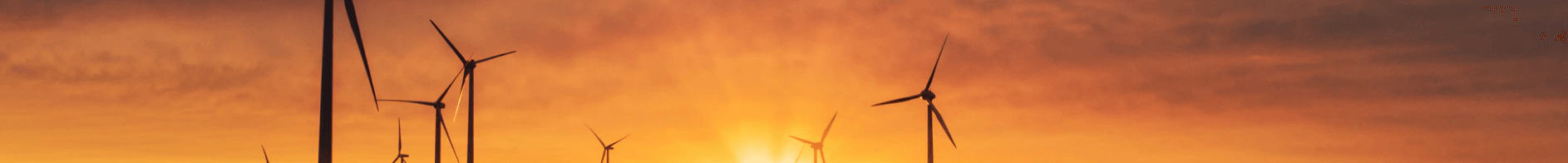 ESG in 2021: If You Don't Care, Here's Why You Should