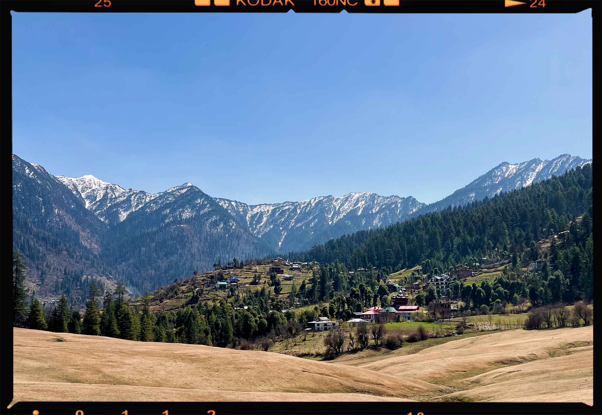 Snow-capped mountains behind a forested hillside with scattered houses under a clear blue sky.