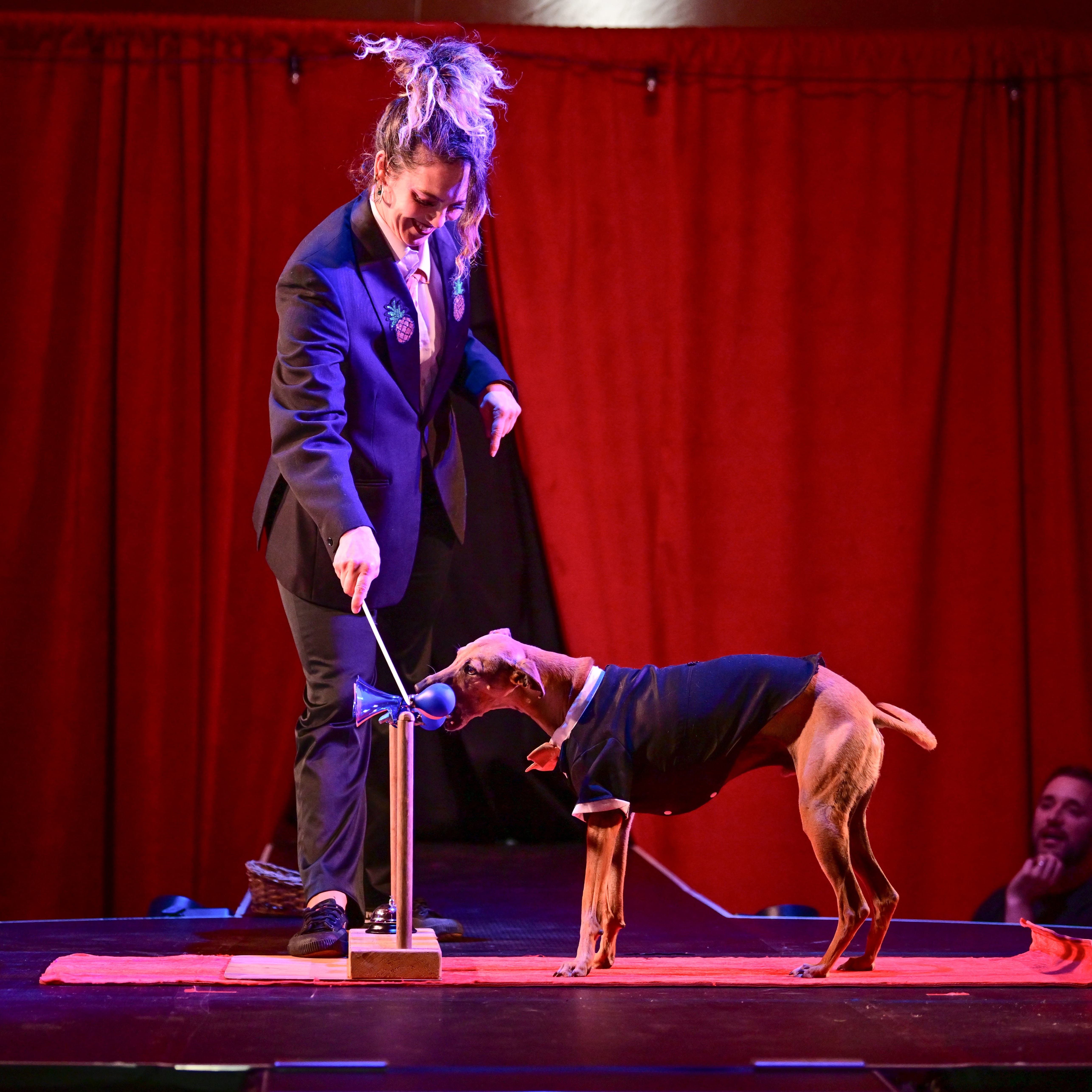 A female aerial performer strikes a dramatic pose mid-air on a glittering hoop above a vintage carousel horse, illuminated by warm stage lights and surrounded by colorful starburst reflections, during a circus-style performance.
