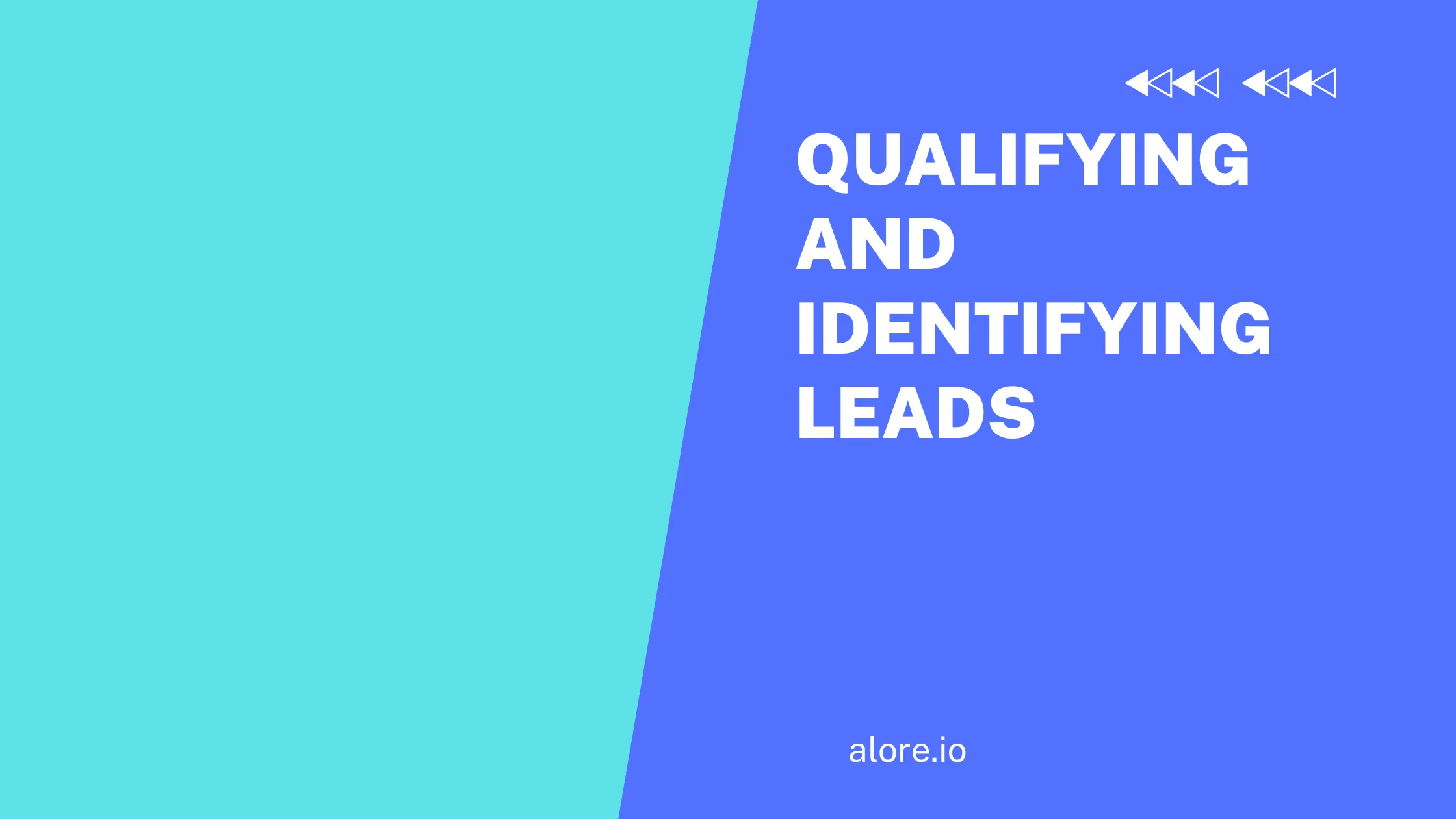 Qualifying and Identifying Leads