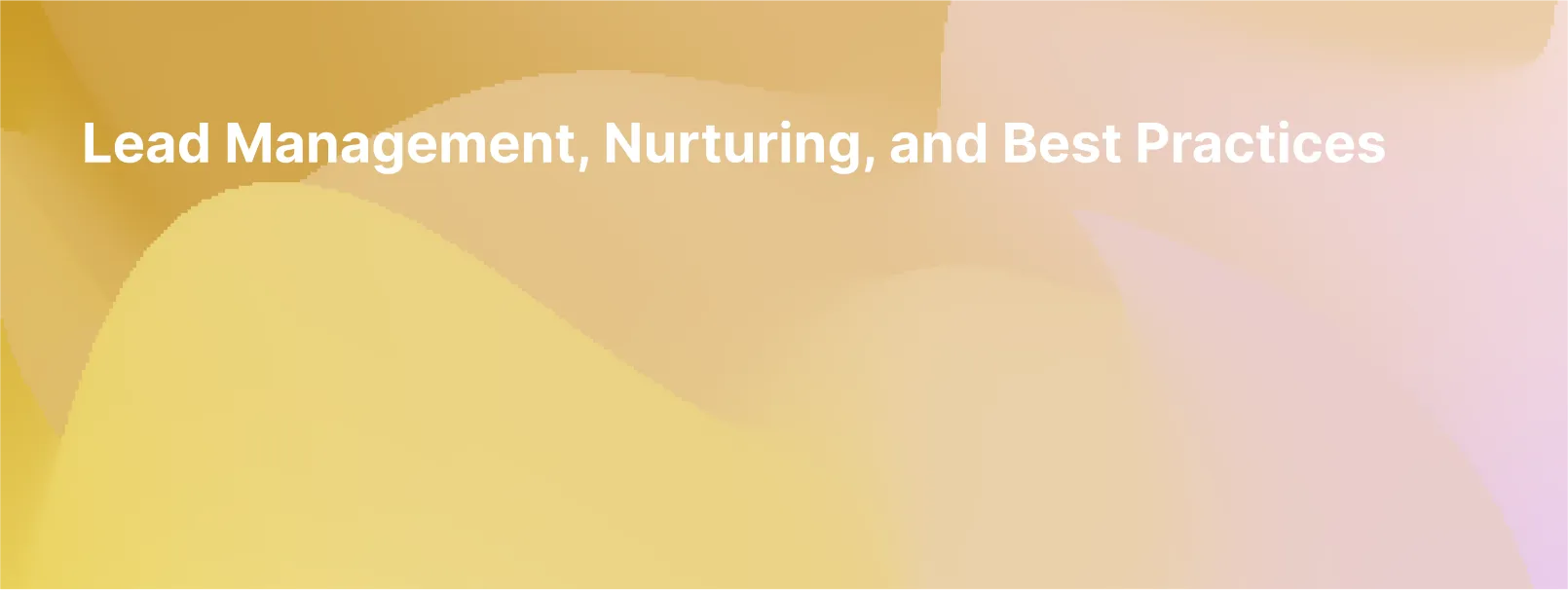 Lead Management, Nurturing, and Best Practices