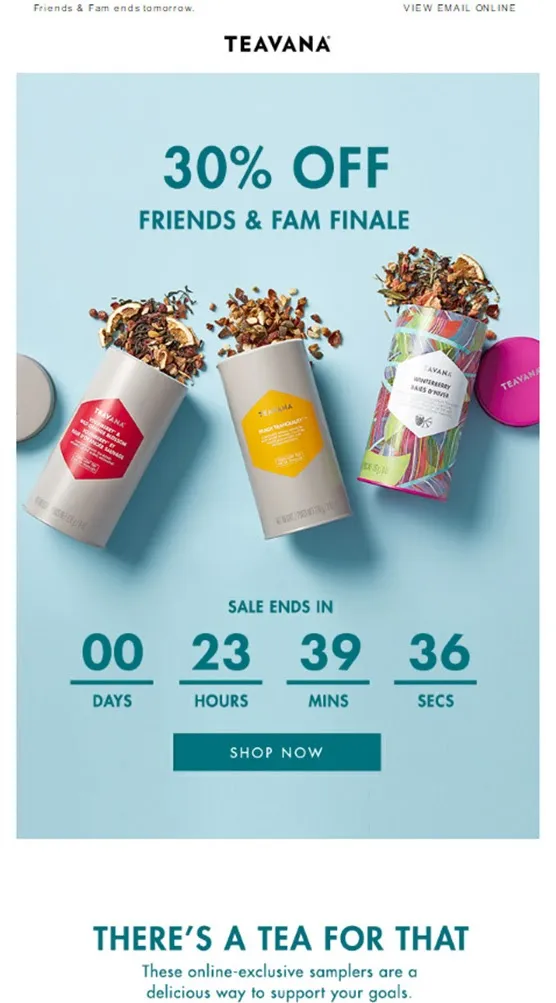 Example of promotional email