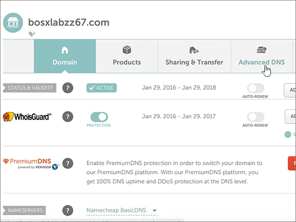 Select Advanced DNS.
