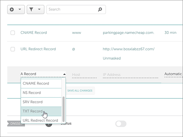 Select TXT Record.