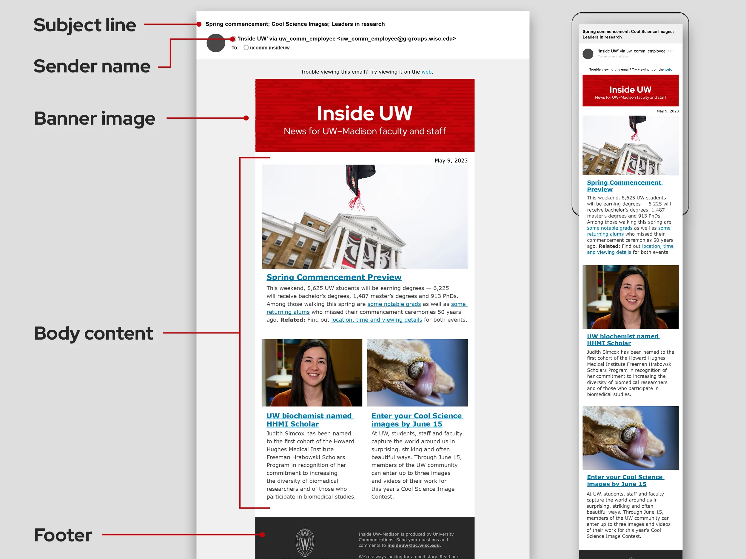 Email Newsletter Format