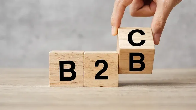 Best Strategies to Excel in B2C Sales Mastery