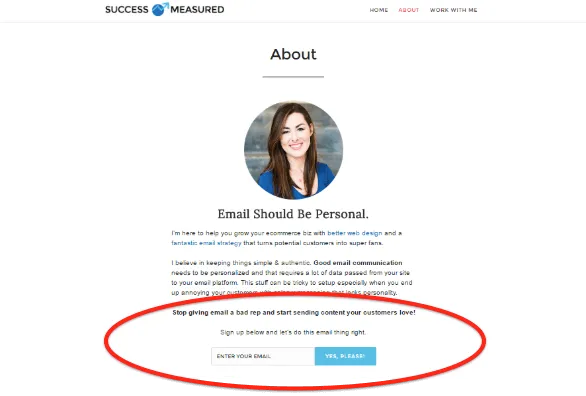Emailing Opt-Ins Only
