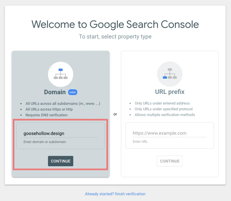 Domain Verification