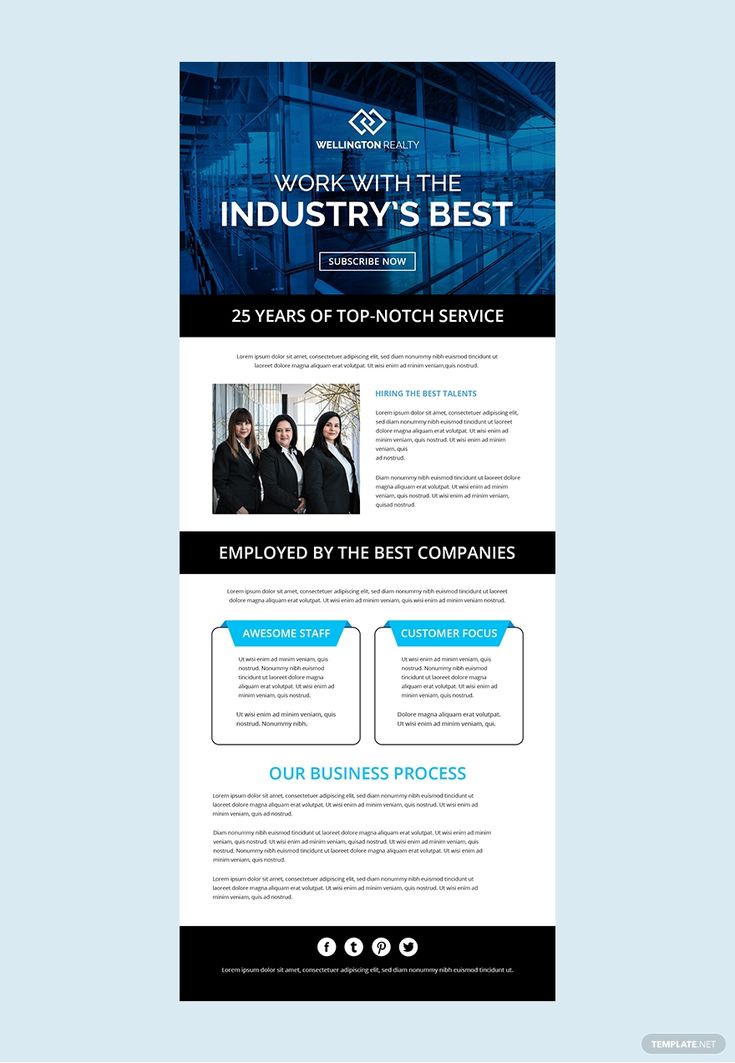                                                                            Business Email Newsletter Template 