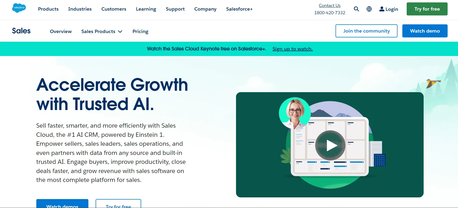                                                                  Salesforce Sales Cloud