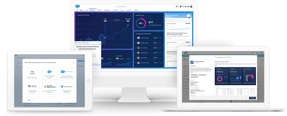 Salesforce Einstein Analytics
