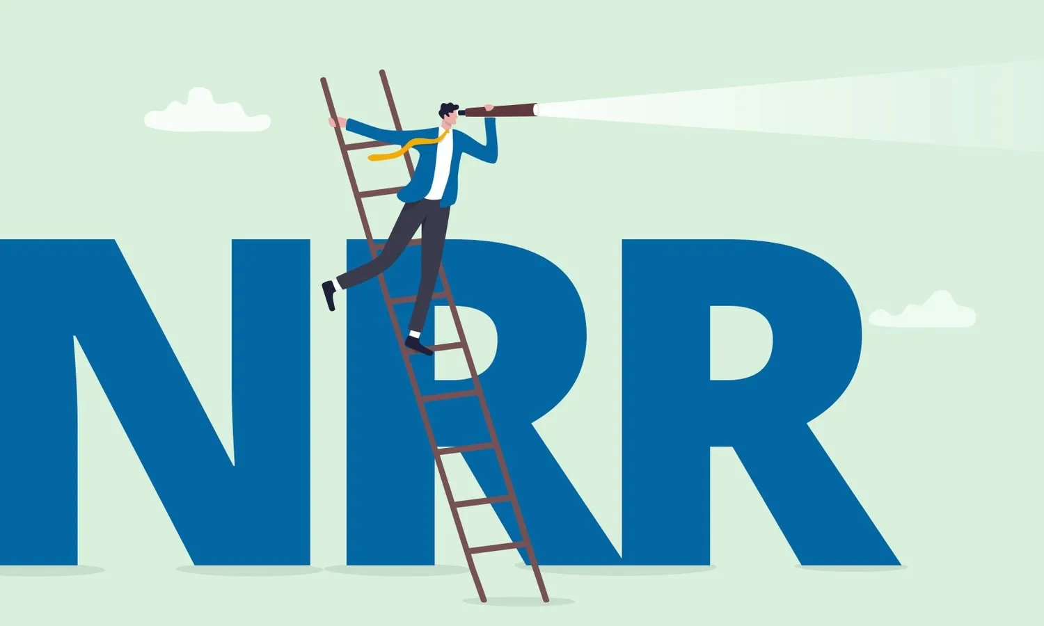 Net Revenue Retention (NRR)