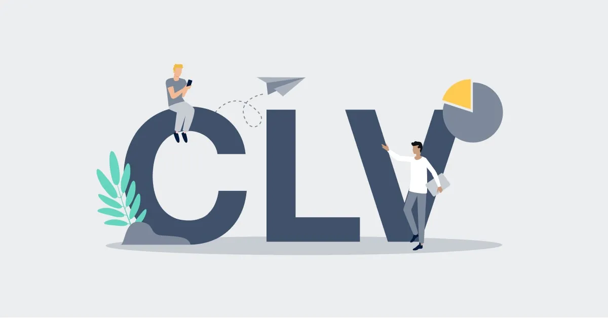 Customer Lifetime Value (CLV or LTV)