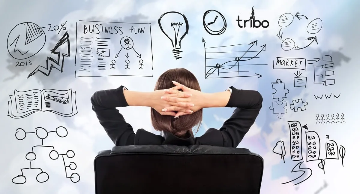 Challenges and Solutions for a Sales Manager