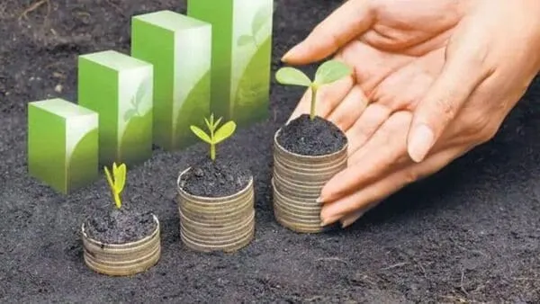 How to Address Environmental Impact Alongside Financial Goals?  