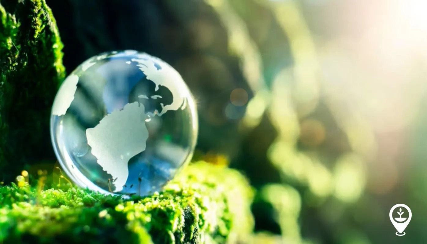 What Opportunities Are Emerging for Climate Tech Startups?