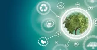 What Are the Key Challenges Facing Climate Tech Startups?