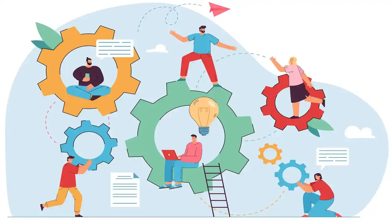 Organized Operations & Management Team