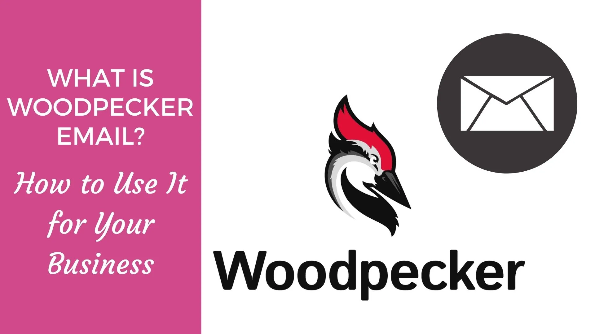 Woodpecker