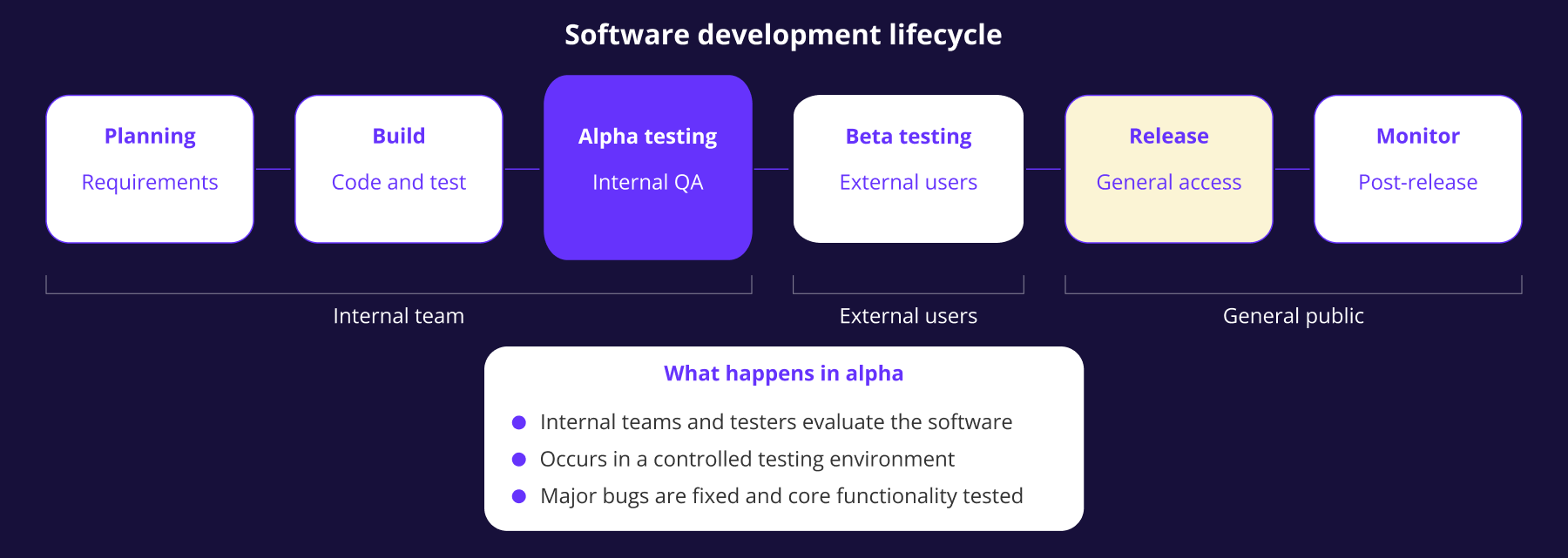 Software development lifecycle beta testing