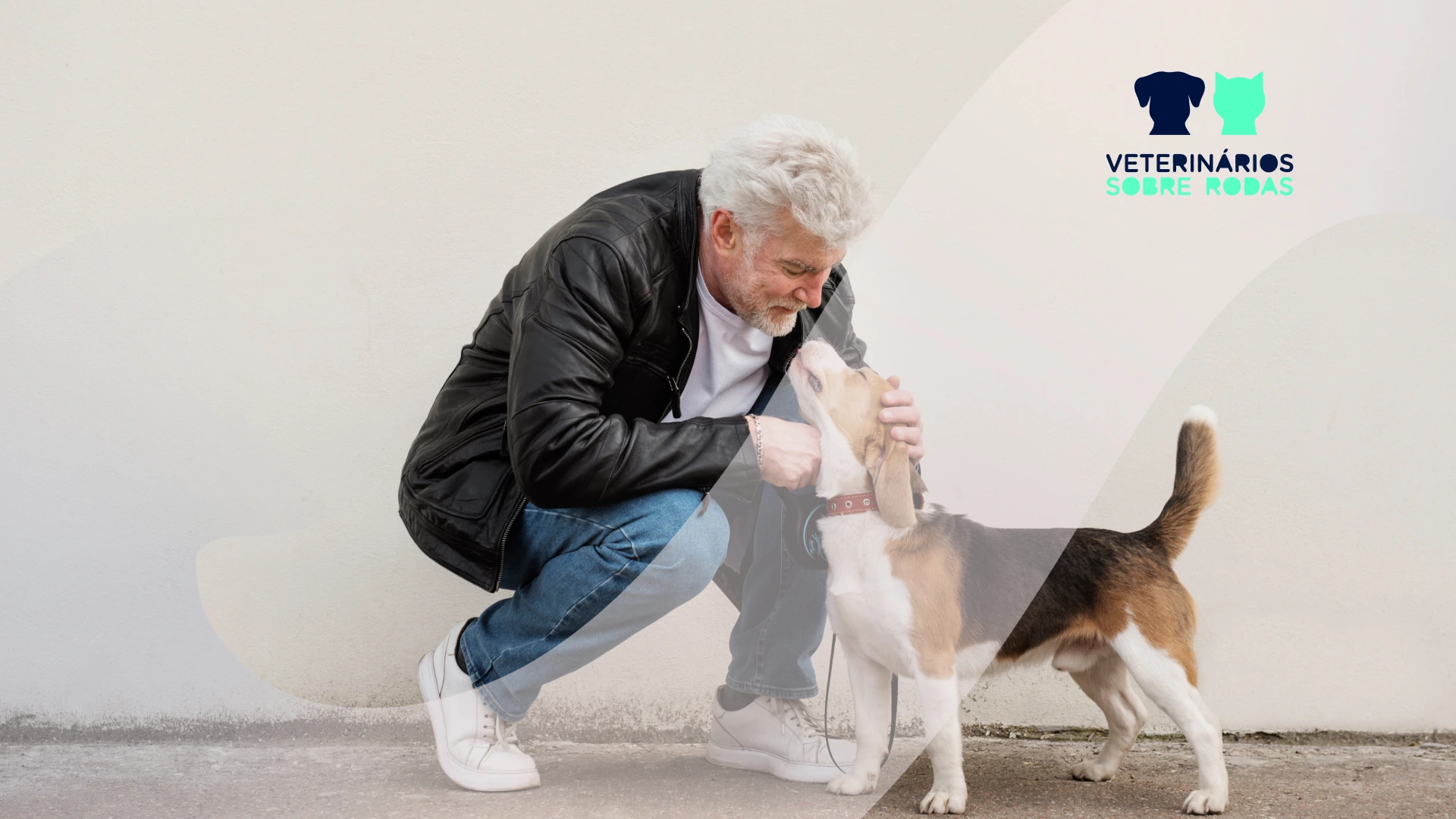 Animais de Companhia: Benefícios e Cuidados para Seniores