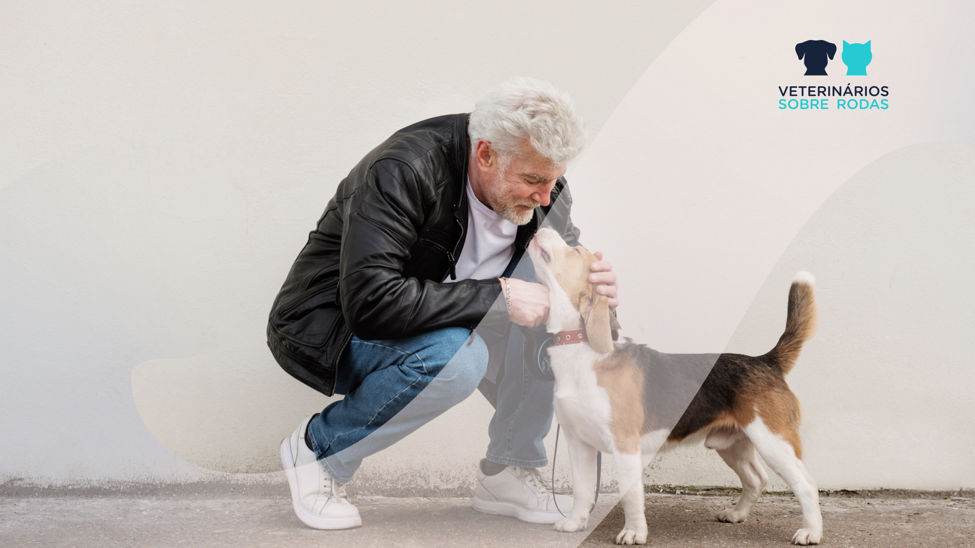 Animais de Companhia: Benefícios e Cuidados para Seniores