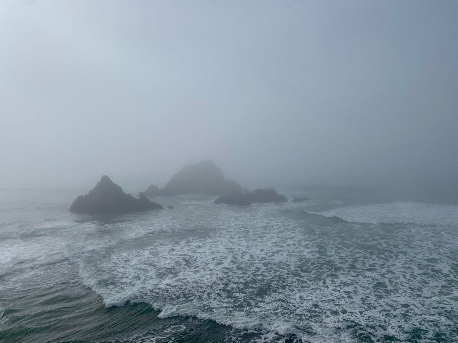 Fog over the Pacific at Point Lobos, with dark rocks and breaking waves below the cliffs