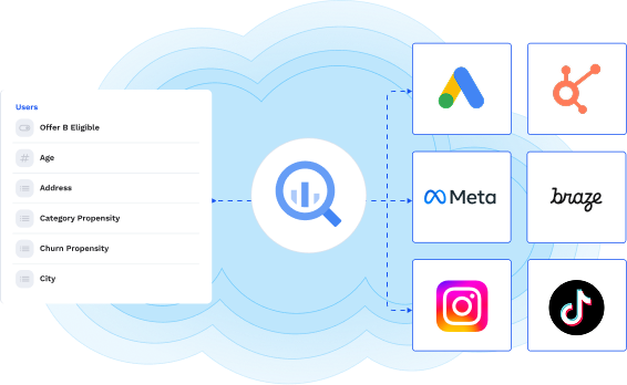 Diagram of the data cloud with marketing channels