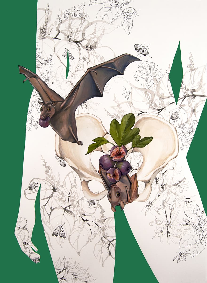 128-2020-Invasive Fertility (Fruit Bat and Figs)