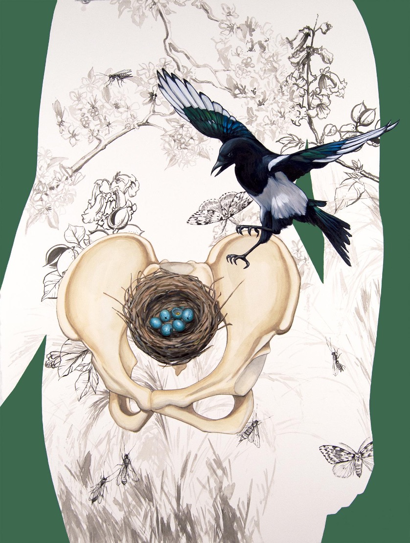 128-2020-Invasive Fertility (Magpie and Song Thrush Nest)