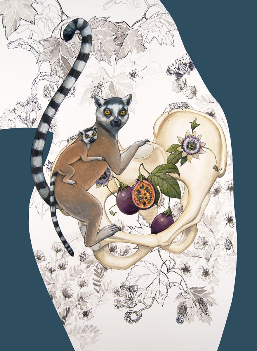 128-2020-Invasive Fertility (Ring-tailed Lemurs and Passion Fruit)